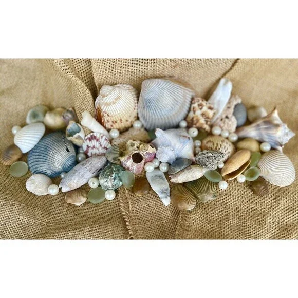 Gift Bag Of Beautiful Seashells Sourced From Coastal SE Georgia And NE Florida - Picture 7 of 16
